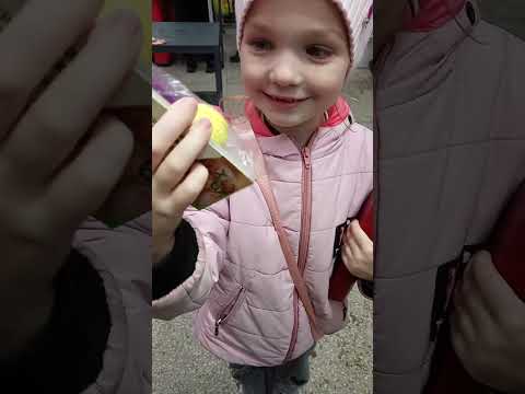 Видео: Закупка в магазине 