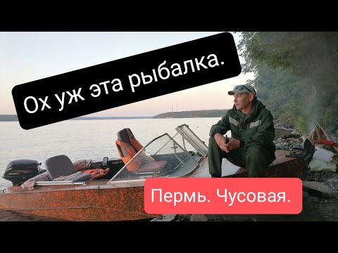 Видео: Отдых на лодке МКМ. Обзор тента для лодки. #рыбалкавидео #еданакостре #осень#тентдлялодки