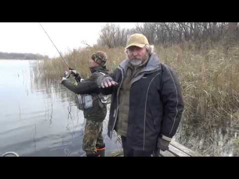 Видео: Лайт под названием: "Черная Звездочка" (Залив Днепра). XESTA BLACKSTAR 2nd GENERATION