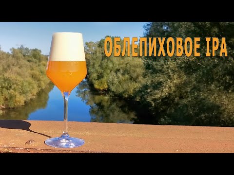 Видео: Облепиховое IPA