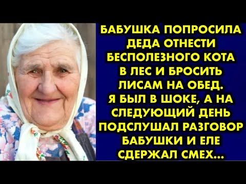 Видео: Бабушка попросила деда отнести бесполезного кота в лес и бросить лисам на обед. Я был в шоке, а на..