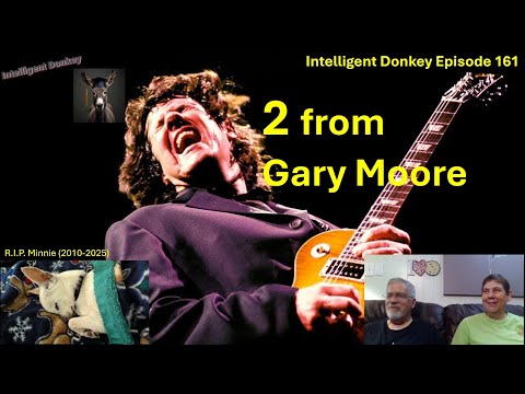 Видео: [Реакция] Две песни Гэри Мура - Интеллектуальный Осёл, Эпизод 161