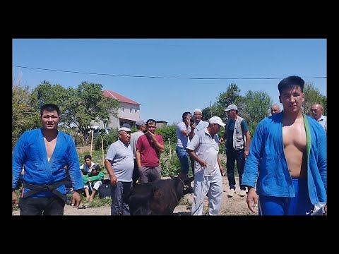Видео: КАРАКАЛПАКТА УЛКЕН ТОЙ ПАЛУАНЛАР ГУРЕСИ 24.06.2023 КАНЛЫКОЛ РАЙОНЫНДА УЛКЕН ТОЙ