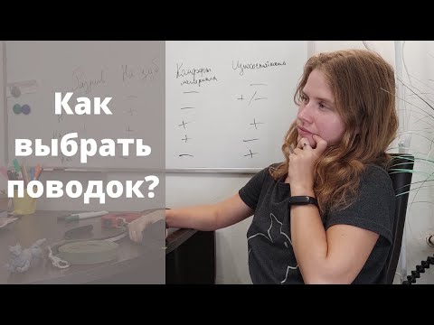 Видео: Как выбрать поводок? Нейлоновый, кожаный, брезентовый или биотановый? Амуниция для собаки