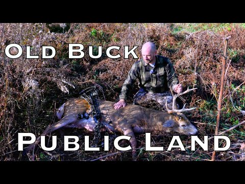 Видео: Зрелая общественная земля, сдаюсь