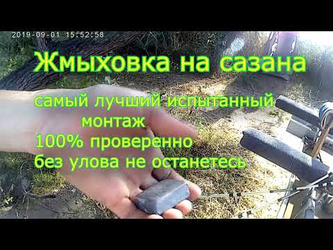 Видео: Макушатник, самая уловистая снасть на сазана. Как поймать карпа с помощью жмыха