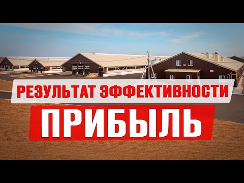 Видео: Бизнес на молоке | Интервью с основателем Молвеста | Вкуснотеево | Производство молока