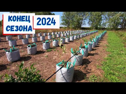 Видео: Успехи и провалы сезона 2024