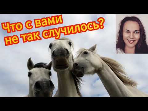 Видео: Тёртый-перетёртый мошенник и его бубенцы