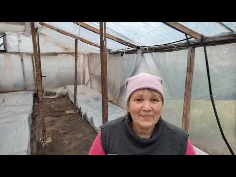 Видео: Знову корисні болталки