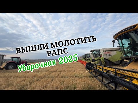 Видео: 8 комбайнов Поехали молотить РАПС | Обслуживание КОМБАЙНА перед началом РАБОТЫ | CLAAS TUKANO 340