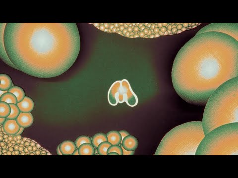 Видео: a.Ja – Крылья (Live: Моя Музыка)