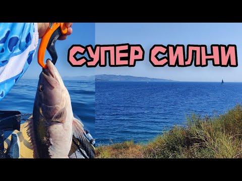 Видео: Групери на силикони в Йонийско море