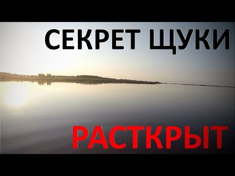 Видео: Секрет щуки раскрыт. Рыбалка с ночёвкой на острове Сааремаа. В этот день, в этот час.