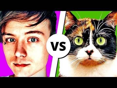 Видео: ИВАНГАЙ vs СЛИВКИ ШОУ