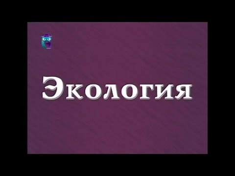Видео: Экология