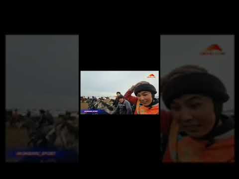 Видео: Кутман балбан Улан балбандын Залатой деген аты менен салымы бир Тоо 🐪