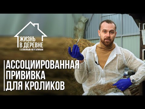 Видео: Ассоциированная прививка для кроликов