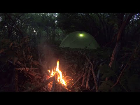 Видео: Проверка ФОТОЛОВУШЕК, ОДИНОЧНАЯ ночёвка в ЛЕСУ / Checking CAMERA TRAPS, SINGLE night in the FOREST