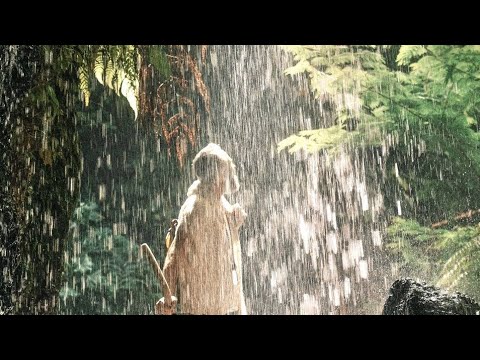 Видео: Смирение, самадхи, карма, мысли.Мастер Пранава