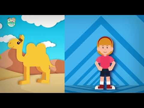 Видео: Жануарлар қайда тіршілік етеді? 3 - сынып жаратылыстану.