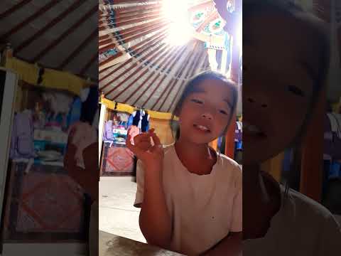 Видео: аминаагийн тэнэг дуу