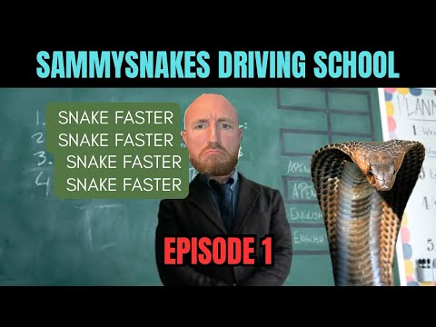 Видео: Gran Turismo 7 Driving School, эпизод 1 | Мастерство торможения, поворотов, ускорения, маркеры и ...