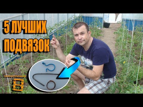 Видео: 5 СУПЕР ПОДВЯЗОК ПОМИДОРОВ (ОГУРЦОВ) БЫСТРО И ЛЕГКО ОТ НАШИХ ЗРИТЕЛЕЙ. САД (ОГОРОД) И ТЕПЛИЦА