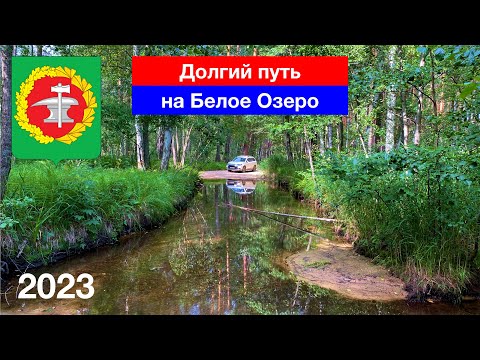 Видео: [4K] Долгий путь на Белое Озеро через лес от Сосновки / Пензенская — Ульяновская обл. (29.07.2023)