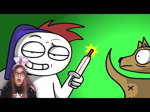 Видео: Как правильно прогуливать школу... [Анимация] \ ZAKATOON \ Реакция