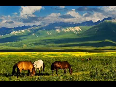 Видео: Қазақ күй әуені. Kazakh music dombra. kazakhstan traditional music