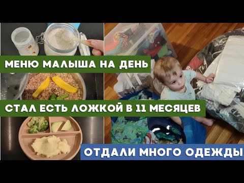 Видео: ПИТАНИЕ МАЛЫША ДО ГОДА🥦 ПРИКОРМ БЛВ 🥦 ОДЕЖДА ДЛЯ МАЛЫША