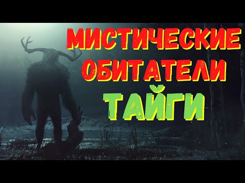 Видео: Истории таёжных охотников/ Охотничьи байки/ Страшные истории