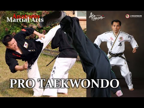 Видео: [Боевые умения] PRO-TAEKWONDO - иллюзия превосходства