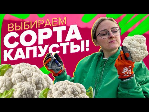 Видео: ВЫБИРАЕМ КАПУСТУ НА 2025!