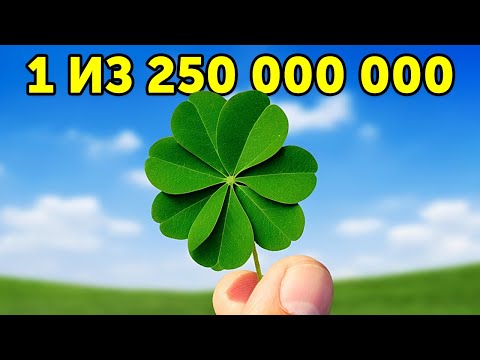Видео: 23 редчайшие вещи на планете (включая ВАС!)