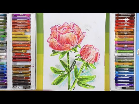 Видео: Как нарисовать ПИОНЫ цветы масляной пастелью
