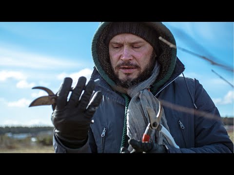 Видео: Обзор инструментов для обрезки с арбористом Дмитрием Звонка