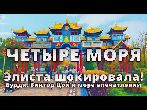 Видео: 🛕 Элиста шокировала! Будда, Виктор Цой и море впечатлений 😲