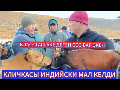 Видео: 16.10.25ж АРАВАН МАЛ БАЗАРГА КЕЛГЕН МАЛ ТУУП САЛДЫ ТЕЗ КОТОРУЛДУ БААСЫ
