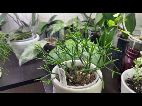 Видео: Завтра все начнется🙏. Запомни меня, такой как сейчас😂😂😂