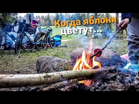Видео: Велопоход с детьми