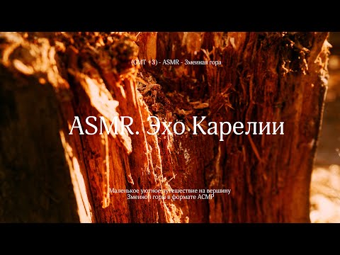 Видео: 🐝 Эхо Карелии | Мой Первый ASMR 🌿