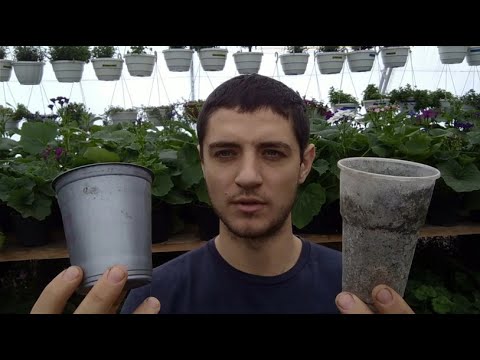 Видео: Какие стаканчики использую для рассады и почему