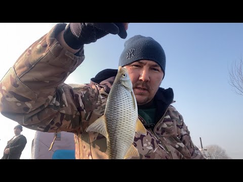 Видео: Рыбалка на УЧТАМЕ 2025!!! УЧТОМ 2025.