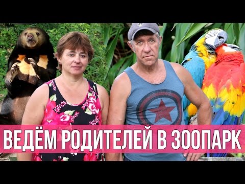 Видео: РОДИТЕЛИ В ЗООПАРКЕ КХАО КХЕО - МИЛЫЕ ЖИВОТНЫЕ | ПАТТАЙЯ, ТАЙЛАНД ☼