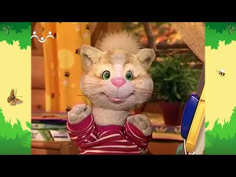 Видео: День в Шишкином Лесу. Зоология. Страусы