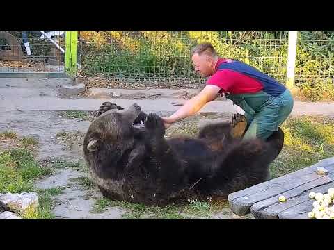 Видео: Андрей и Мансур играли, общались