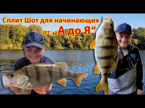 Видео: Сплит шот от А до Я.