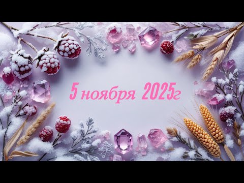 Видео: Новое поступление 05-11-2025